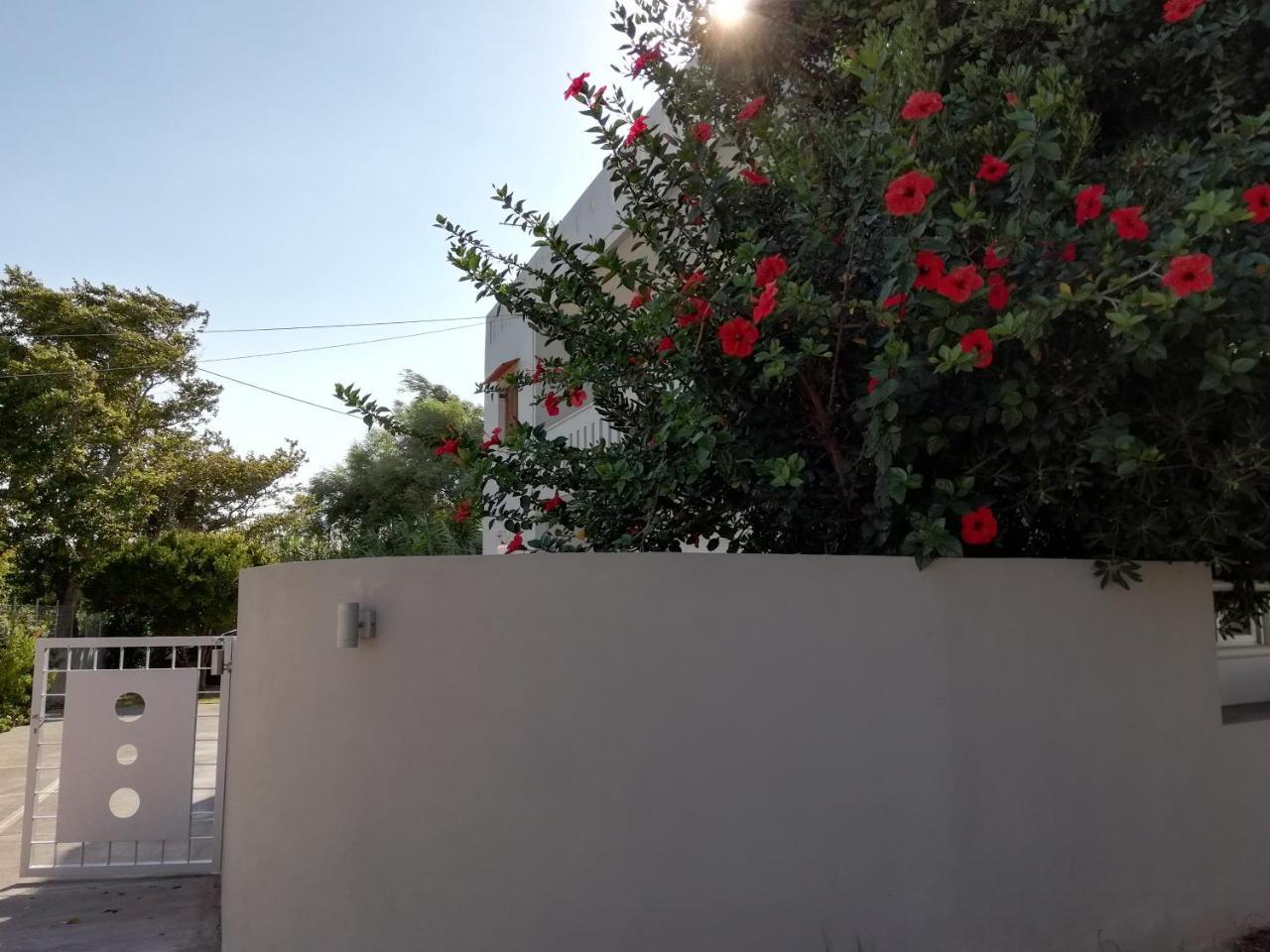 Dimitris' & Valentina'S Home Plakiász Kültér fotó